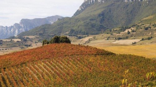 Spanish Wine Trails: Rioja and Ribera del Duero