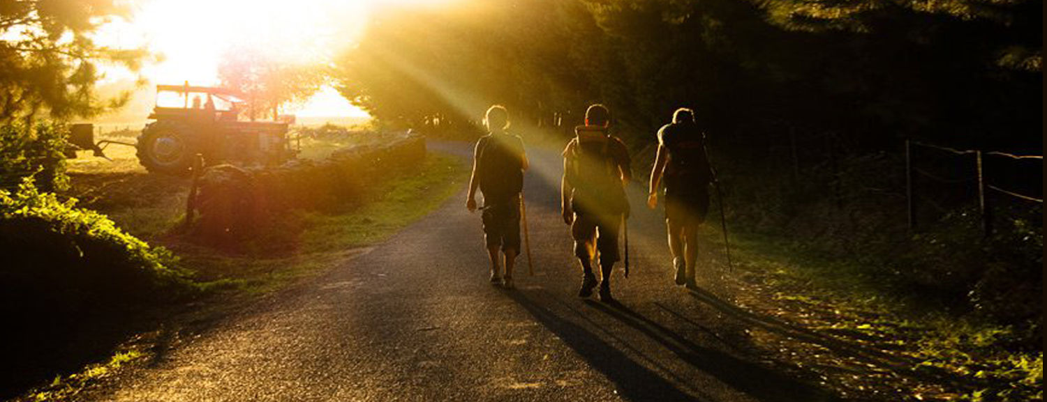 Camino Inglés Find Your Way to Santiago
