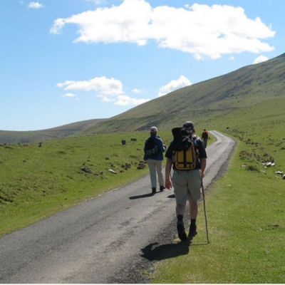 St. Jean Pied de Port - Logroño Camino De Santiago Francés (French way)