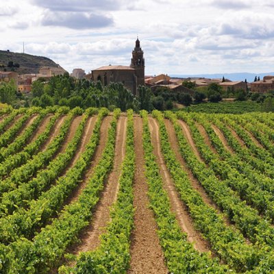 Logroño - Burgos Camino De Santiago Francés (French way)