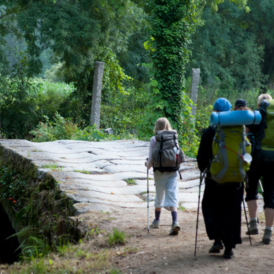 Camino De Santiago: Portuguese Way (Tui - Santiago)