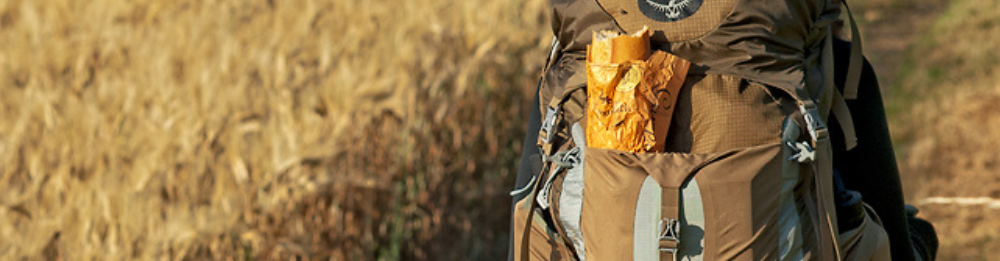 Logroño - León Camino De Santiago Francés (French way)