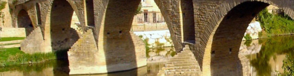 Pamplona - Burgos Camino De Santiago Francés (French way)