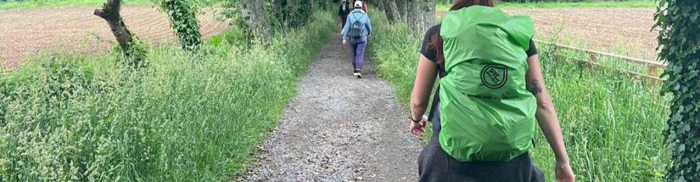 Camino Francés Light (Sarria – Santiago) – The last 100 km