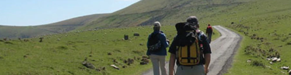 St. Jean Pied de Port - Logroño Camino De Santiago Francés (French way)