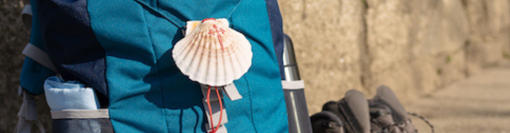 The WHOLE way: St. Jean Pied de Port - Santiago (Camino De Santiago Francés)