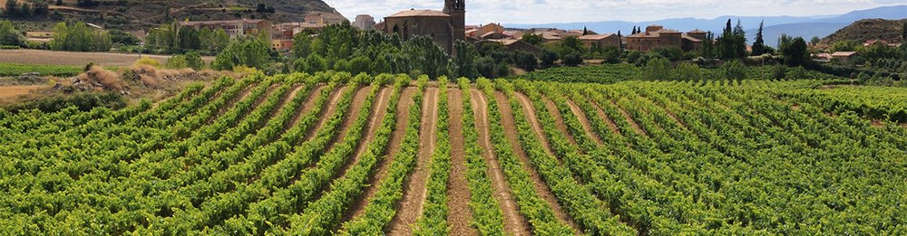Logroño - Burgos Camino De Santiago Francés (French way)