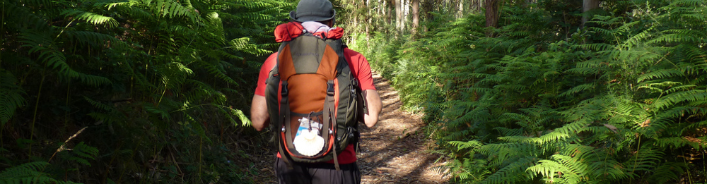 Camino De Santiago: English Way (Ferrol - Santiago)