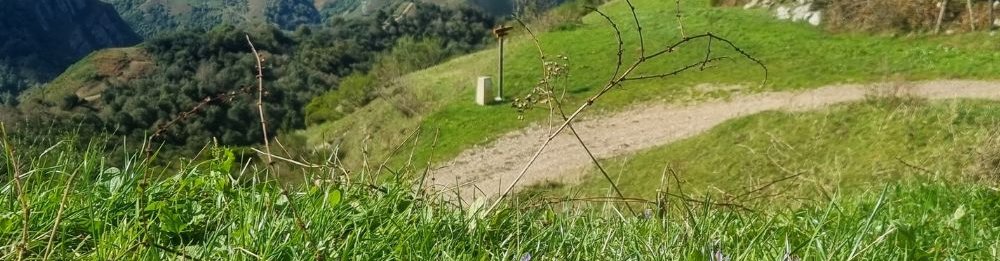 Camino San Salvador (Leon - Oviedo)