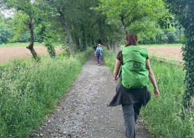 Sarria - Santiago: Last 100km to Santiago Camino De Santiago (French Way)