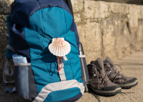 The WHOLE way: St. Jean Pied de Port - Santiago (Camino De Santiago Francés)