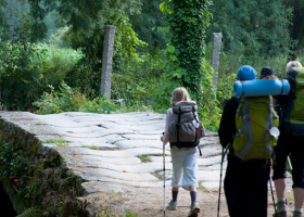 Camino De Santiago: Portuguese Way (Tui - Santiago)