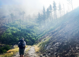 Camino De Santiago: Primitivo Way (Oviedo - Santiago)