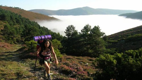 Camino De Santiago Primitivo. Respuesta a todas tus preguntas