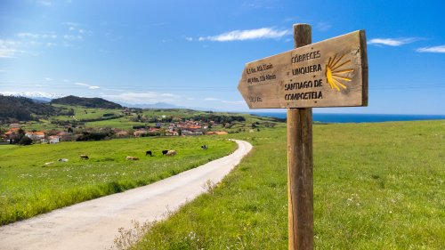 The ultimate Camino guide - how to prepare yourself