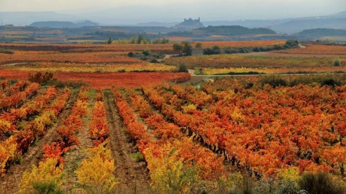 Why autumn is a good season to visit northern Spain