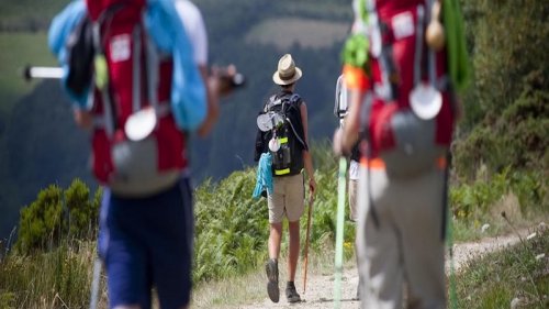 What is the Holy Year of Compostela?